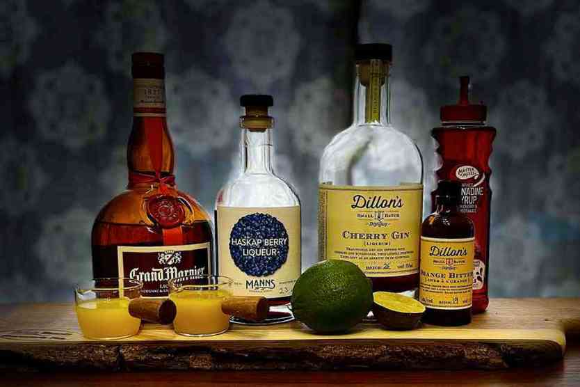 Haskap Berry cocktail ingredients